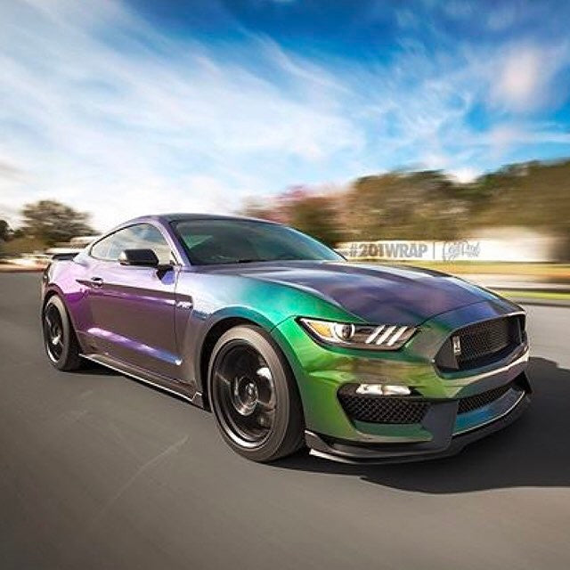 Avery SWF Gloss Urban Jungle (Silver/Green)