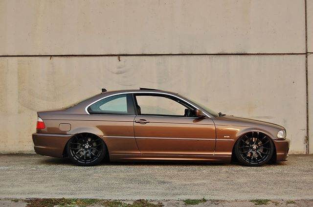 Avery SWF Gloss Metallic Brown
