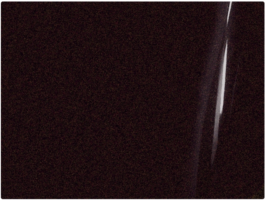 3M™ 2080 Gloss Ember Black GP282