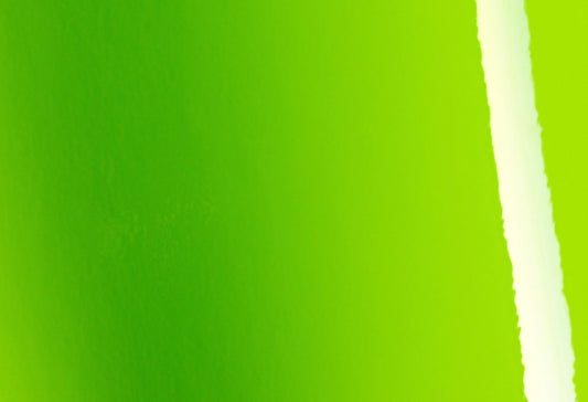 Avery SWF Gloss Tropical Vacation Green